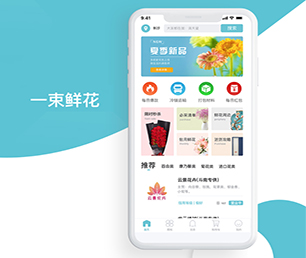 昭通APP开发OA系统量身打造，精益求精【闪电发售，限时特惠】